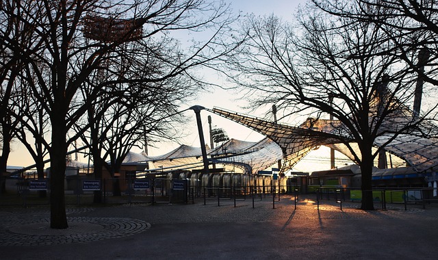 无条件服从 无条件服从