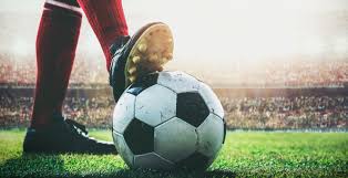 总的来看 总的来看