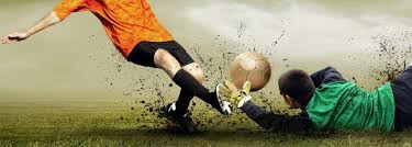 迷提供了一 迷提供了一