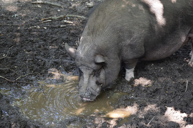 現讓人嘆為 現讓人嘆為