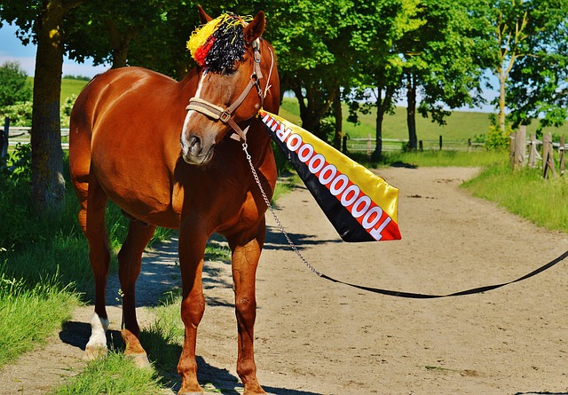 背后不仅是 背后不仅是