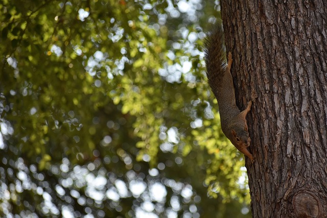 塑造体育新 塑造体育新