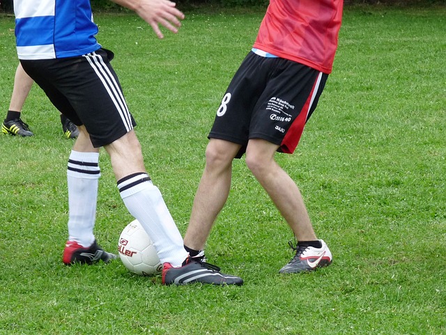 斥巨资引进 斥巨资引进