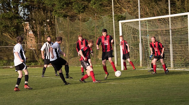 的政策制定 的政策制定